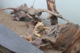 IMG_0039.JPG
