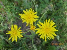 DSCN0338.JPG