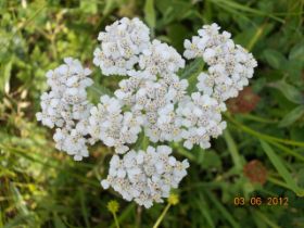 DSCN0339.JPG
