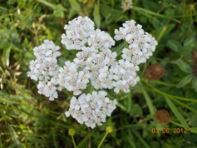 DSCN0340.JPG