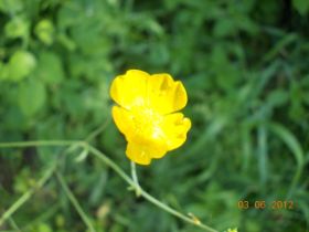 DSCN0344.JPG