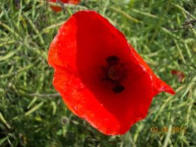DSCN0345.JPG