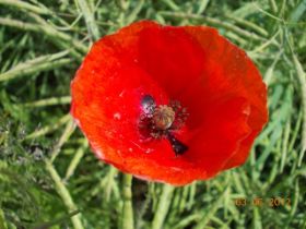 DSCN0346.JPG