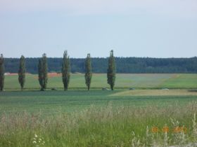 DSCN0347.JPG