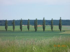 DSCN0348.JPG