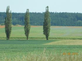 DSCN0349.JPG