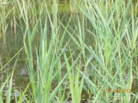 DSCN0359.JPG