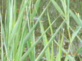 DSCN0360.JPG