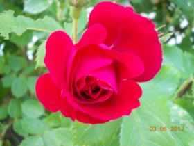 DSCN0361.JPG