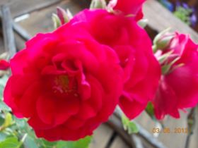 DSCN0362.JPG