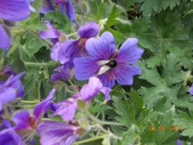 DSCN0367.JPG