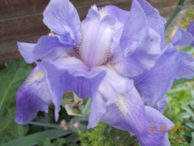 DSCN0371.JPG