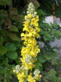 DSCN0372.JPG