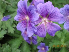 DSCN0374.JPG