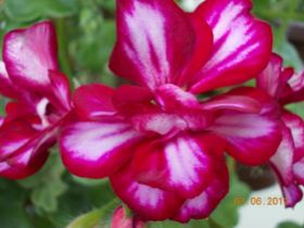 DSCN0377.JPG