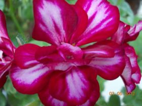 DSCN0378.JPG
