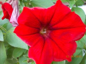 DSCN0379.JPG