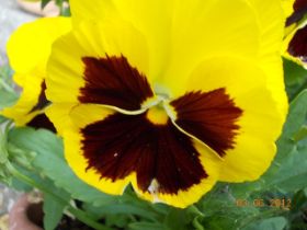 DSCN0382.JPG