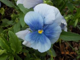 DSCN0383.JPG