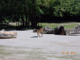 DSCN0406.JPG