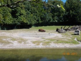 DSCN0407.JPG