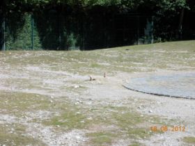 DSCN0410.JPG