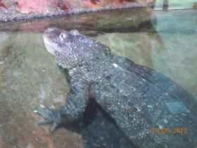 DSCN0428.JPG