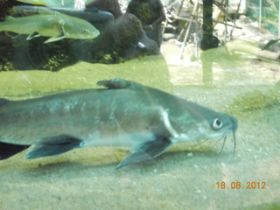 DSCN0433.JPG
