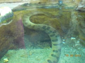 DSCN0434.JPG