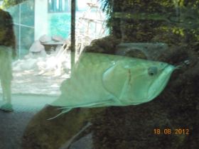 DSCN0435.JPG