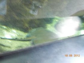 DSCN0437.JPG