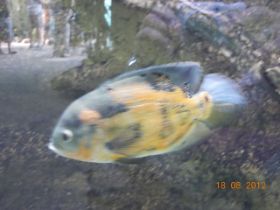 DSCN0439.JPG