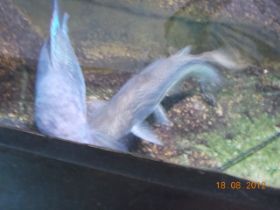 DSCN0440.JPG
