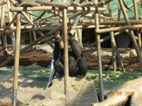 DSCN0446.JPG