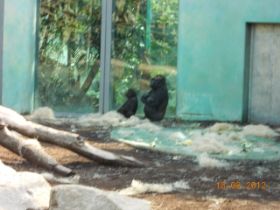 DSCN0453.JPG