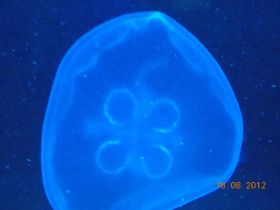 DSCN0470.JPG