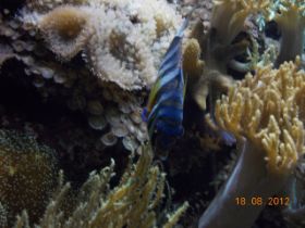 DSCN0482.JPG
