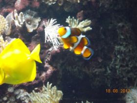 DSCN0483.JPG