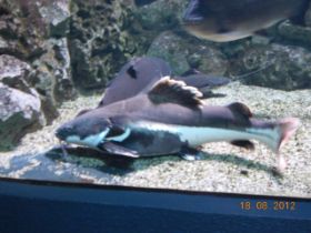 DSCN0492.JPG