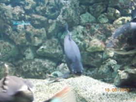 DSCN0496.JPG