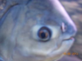 DSCN0498.JPG