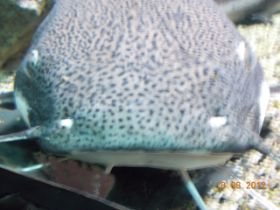 DSCN0500.JPG