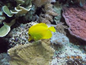 DSCN0510.JPG