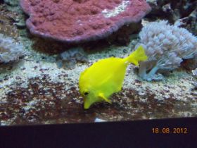 DSCN0511.JPG