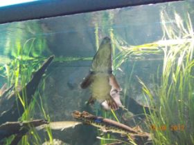 DSCN0518.JPG