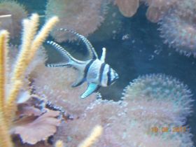DSCN0525.JPG