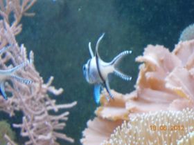 DSCN0527.JPG
