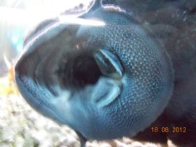DSCN0529.JPG