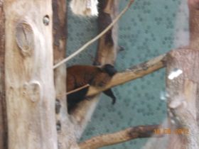 DSCN0543.JPG