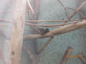 DSCN0544.JPG